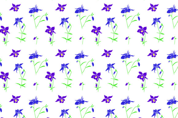 Set Vector Illustration Сolumbine Flower: Graphics & Patterns